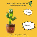 Dancing Cactus Talking Toy - Repeats & Records Voice, Sings Songs, LED Lights
